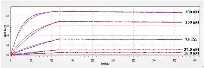 BTN2A1 Antibody (ICT-01) - Humanized