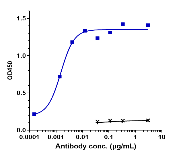 EGFR Antibody (necitumumab)