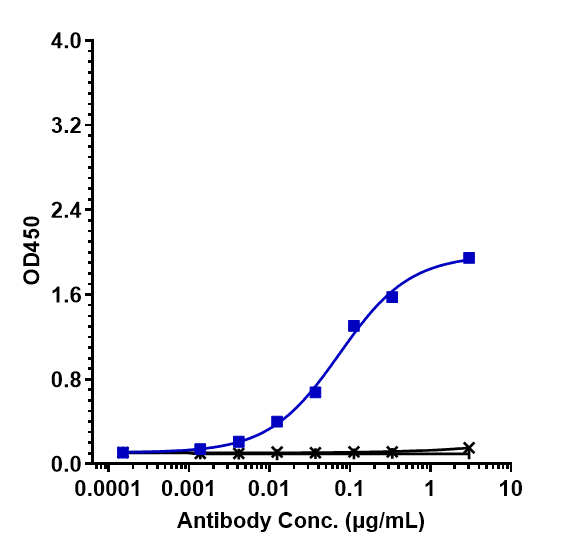 Claudin-6 Antibody (AB3-7) - Humanized