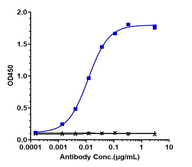 DLL4 Antibody (navicixizumab) - Humanized, IgG2SA