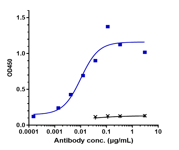 EGFR Antibody (zalutumumab)