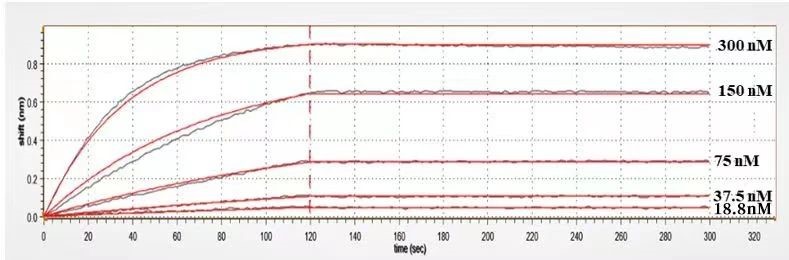 BTN2A1 Antibody (CTX-2026) - Humanized