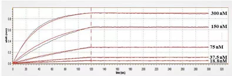 BTN2A1 Antibody (CTX-2026) - Humanized Surface Plasmon Resonance: BTN3A1 Antibody (CTX-2026) - Humanized [NBP3-28506] -