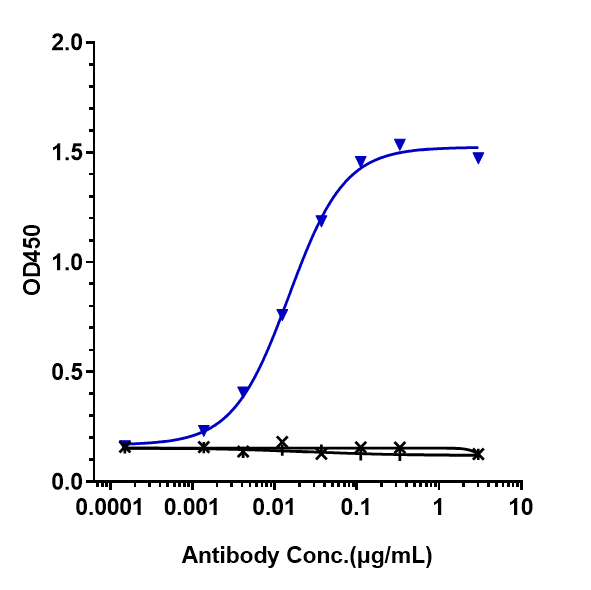 IgE Antibody (talizumab) - Humanized