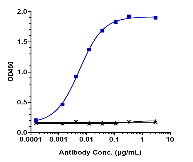 Neuropilin-1 Antibody (vesencumab)