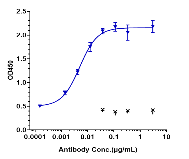 FCRN/FCGRT Antibody (nipocalimab)