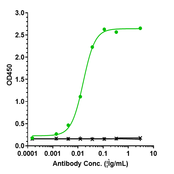 IL-6 Antibody (elsilimomab) - Humanized