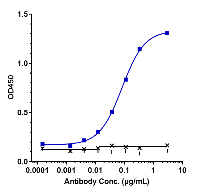 CD27 Ligand/TNFSF7/CD70 Antibody (cusatuzumab) - Humanized