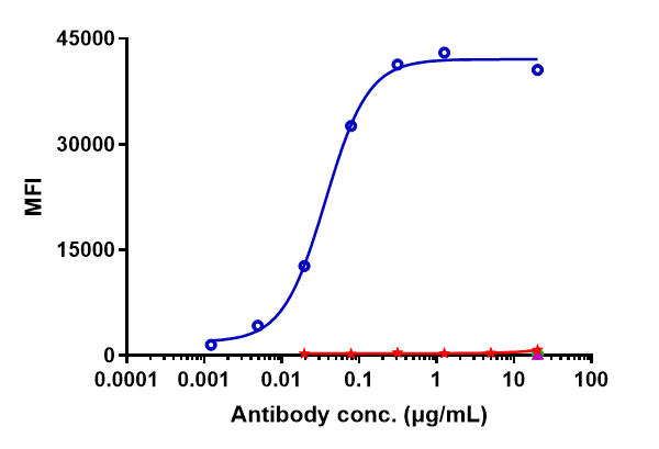 CD27 Ligand/TNFSF7/CD70 Antibody (cusatuzumab) - Humanized