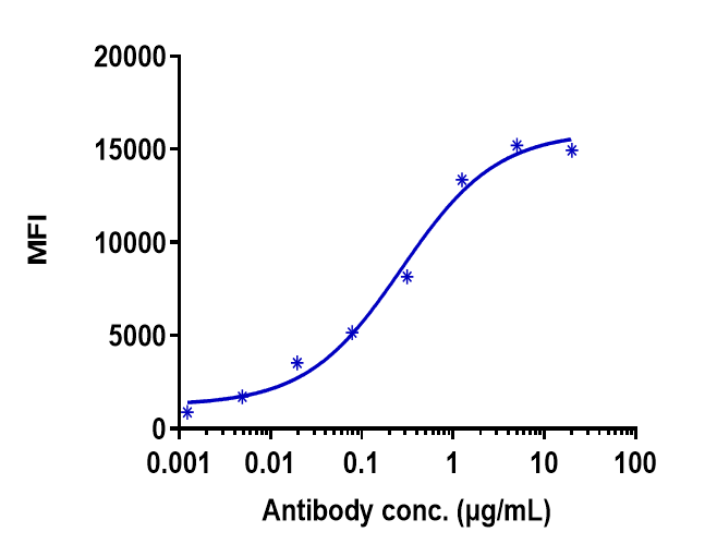 CD27 Ligand/TNFSF7/CD70 Antibody (cusatuzumab) - Humanized