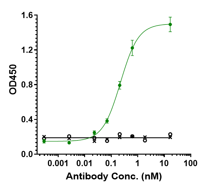 TGF-beta 1 Antibody (M7824)