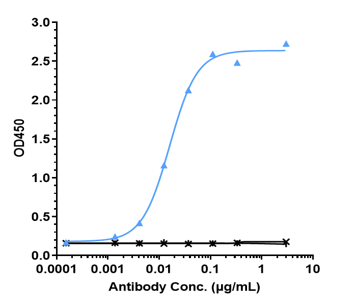 IL-6 Antibody (Medarex patent anti-IL-6)