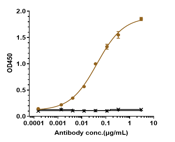 IL-23A/IL-23 P19 Antibody (risankizumab) - Humanized