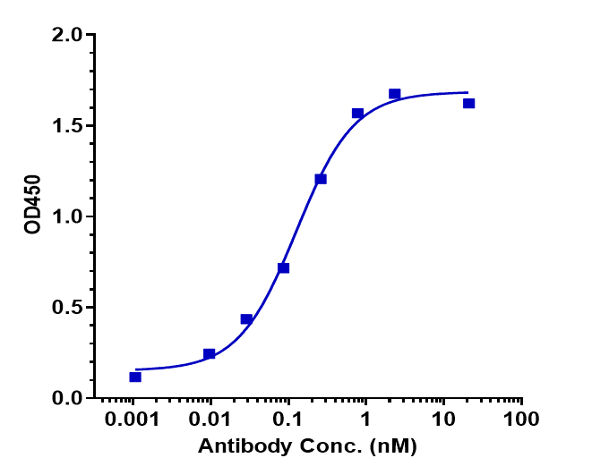 TRAILR2/TNFRSF10B Antibody (drozitumab)