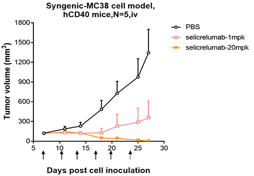 CD40/TNFRSF5 Antibody (selicrelumab) - IgG2SA