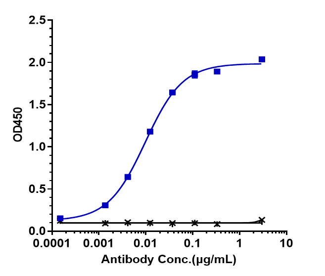 CD40/TNFRSF5 Antibody (selicrelumab) - IgG2SA