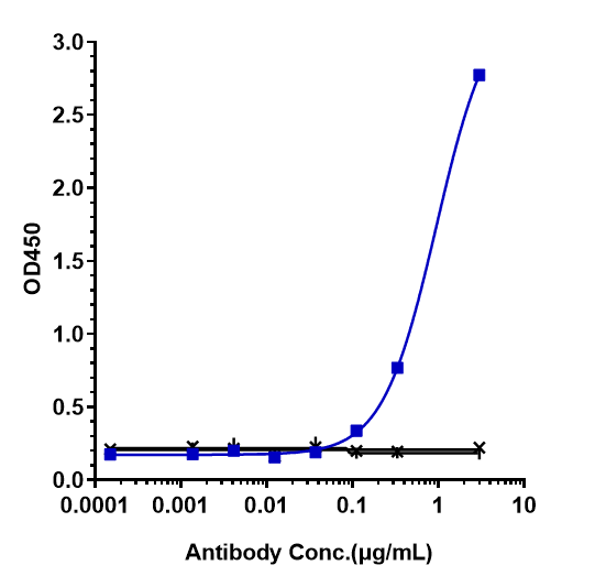 beta Amyloid Antibody (aducanumab)