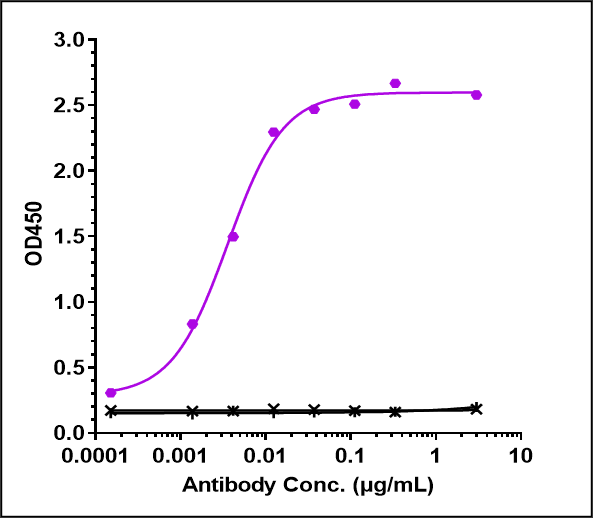 beta Amyloid Antibody (lecanemab) - Humanized