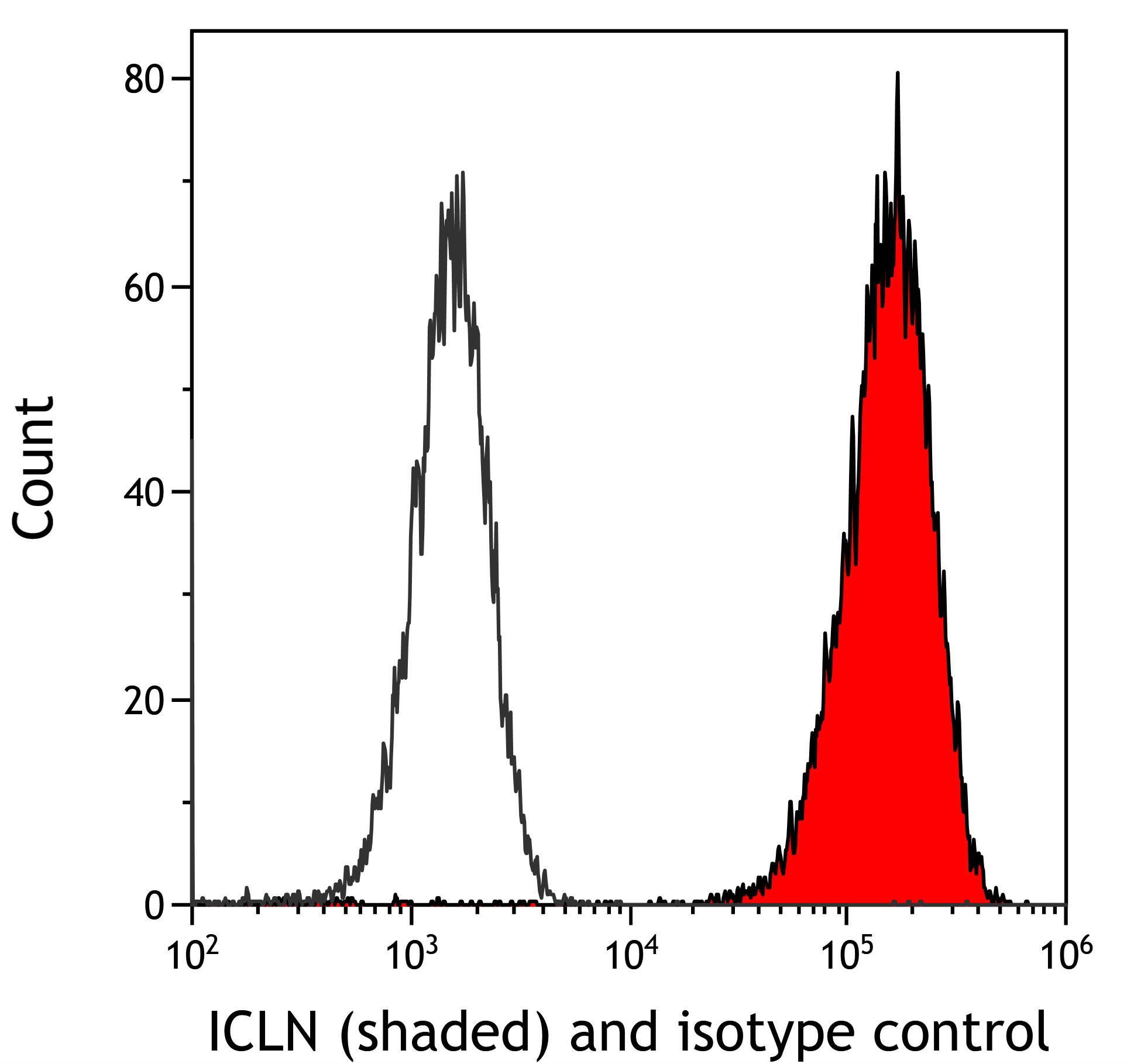 CLNS1A Antibody