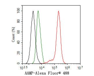 AAMP Antibody (JE64-70)