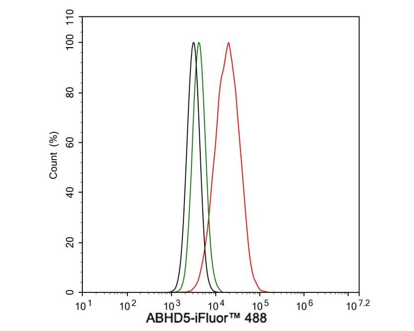 Abhd5 Antibody (JE60-62)