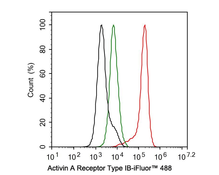 Activin RIB/ALK-4 Antibody (JE38-48)