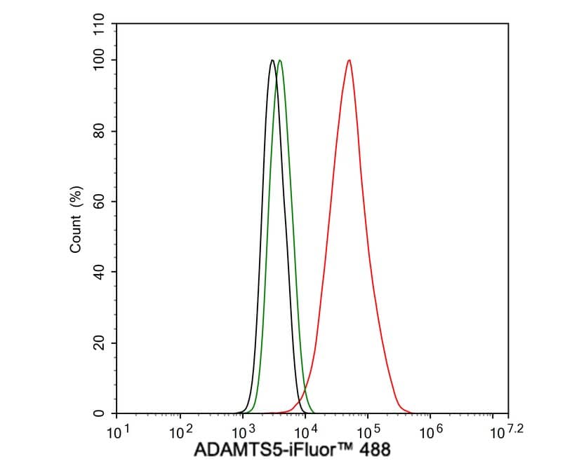 ADAMTS5 Antibody (PSH03-52)