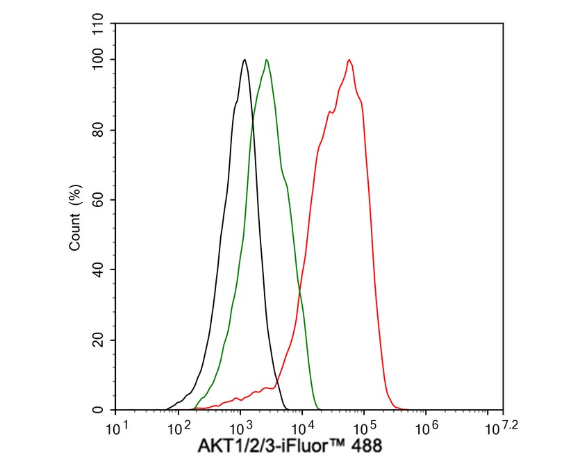AKT1/2/3 Antibody (JE75-09)
