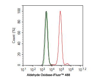 Aldehyde Oxidase 1/AOX1 Antibody (PSH0-17)
