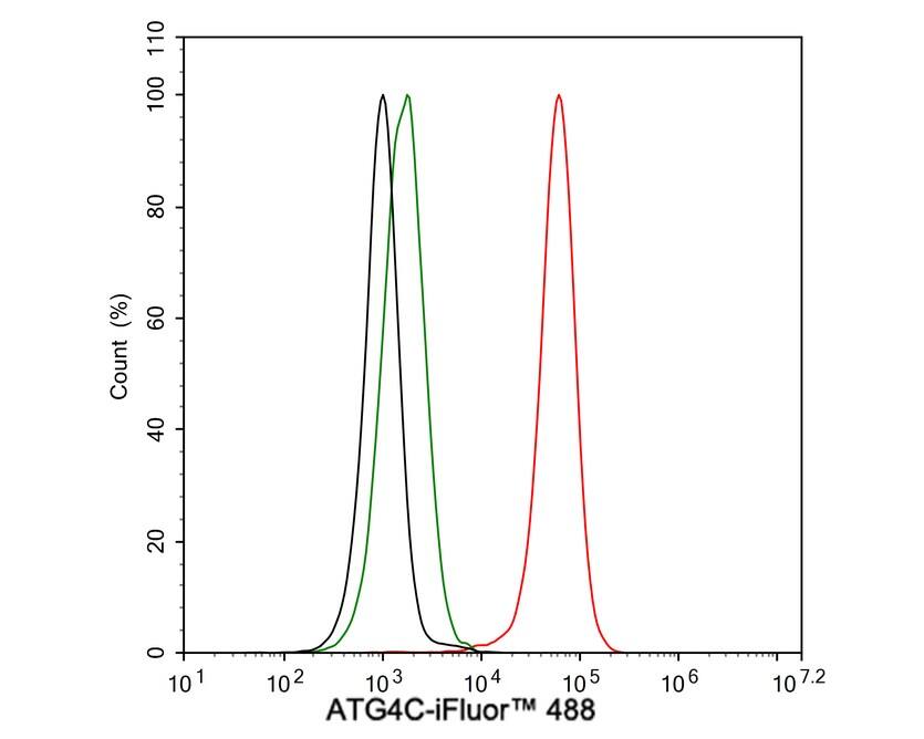ATG4C Antibody (JE59-99)