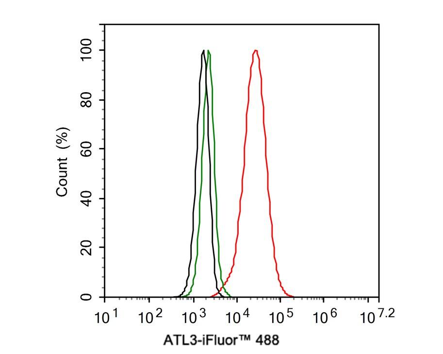 Atlastin-3 Antibody (PSH02-47)