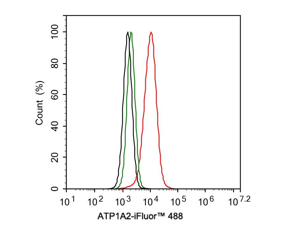 Sodium Potassium ATPase Alpha 2 Antibody (JE34-00)