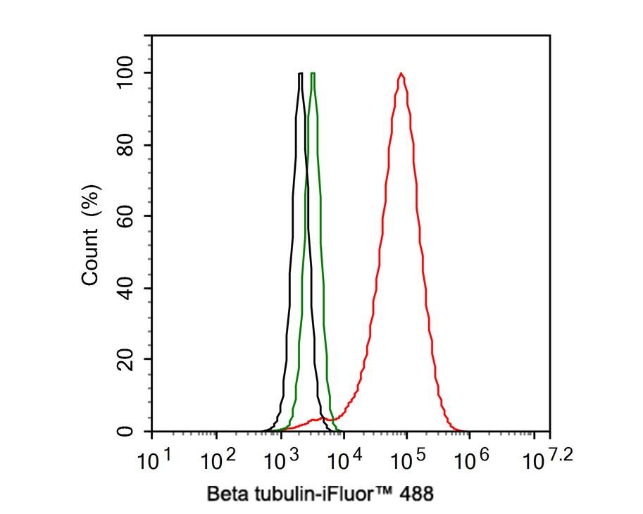 beta Tubulin Antibody (A1-A4-R)
