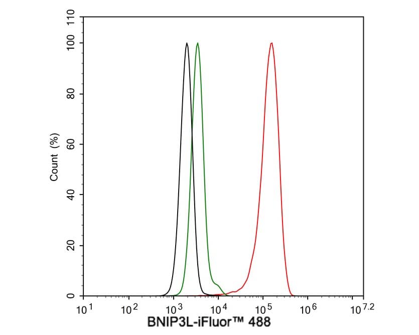 BNIP3L Antibody (JE59-98)
