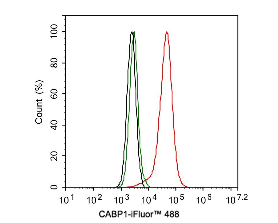 CABP1 Antibody (JE56-72)