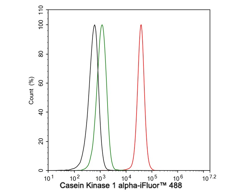 Casein Kinase 1 alpha Antibody (PSH04-46)