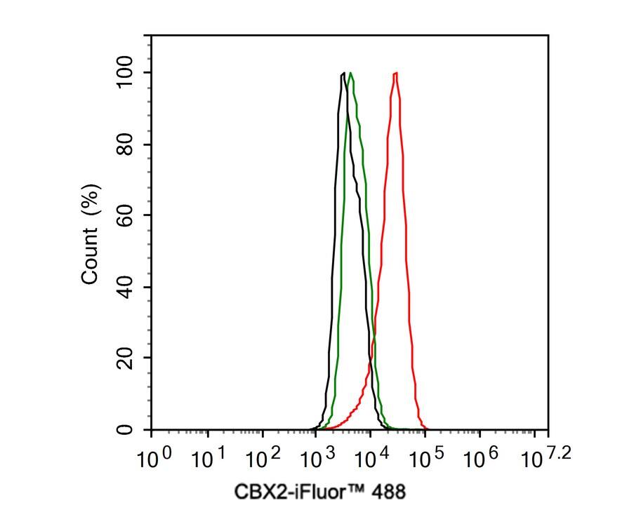 Cbx2 Antibody (JE34-45)