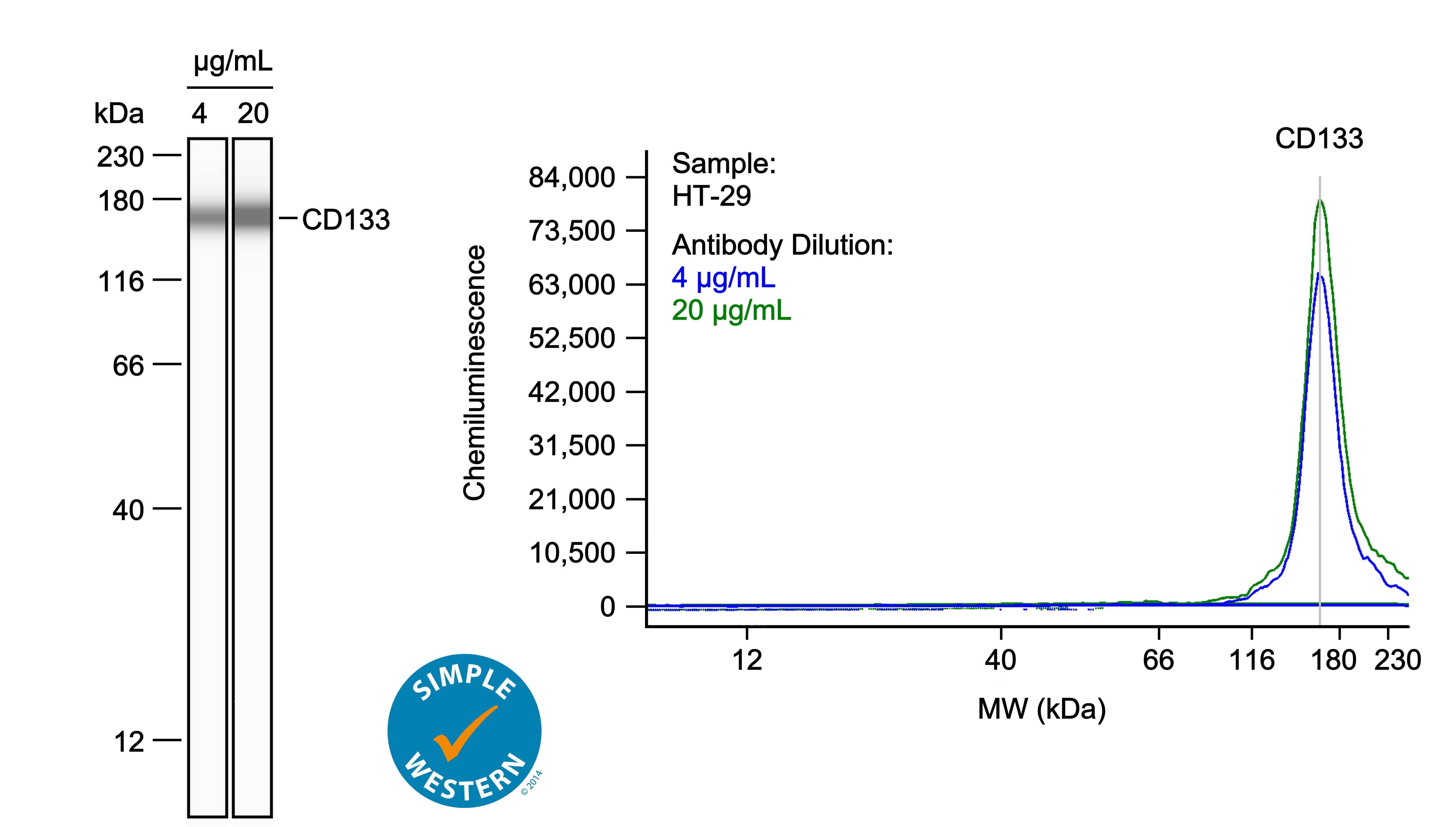 CD133 Antibody (A8C3-R)