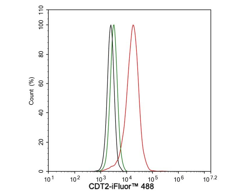 CDT2 Antibody (JE58-01)