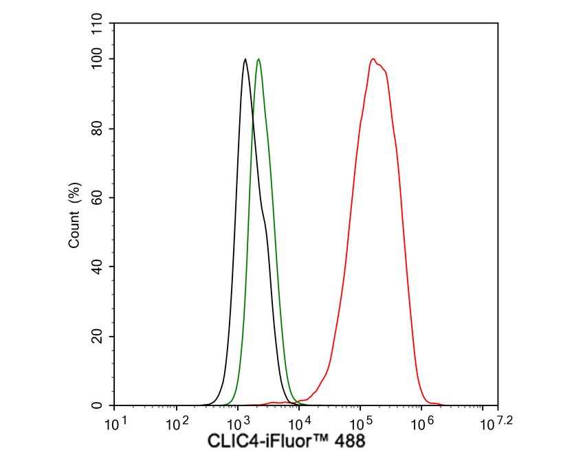 CLIC4 Antibody (JE65-09)
