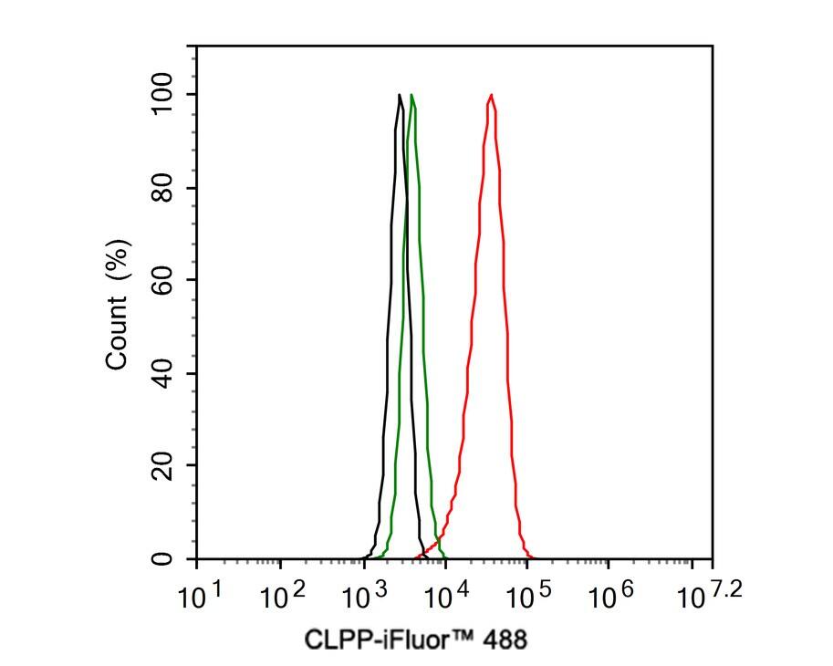 CLPP Antibody (JE40-00)