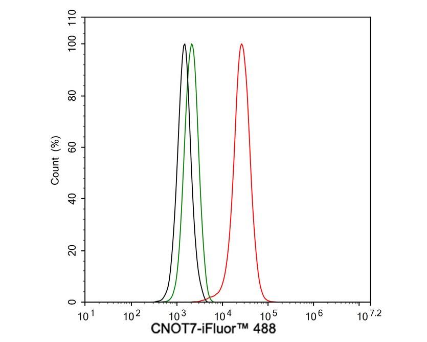 CNOT7 Antibody (PSH02-81)