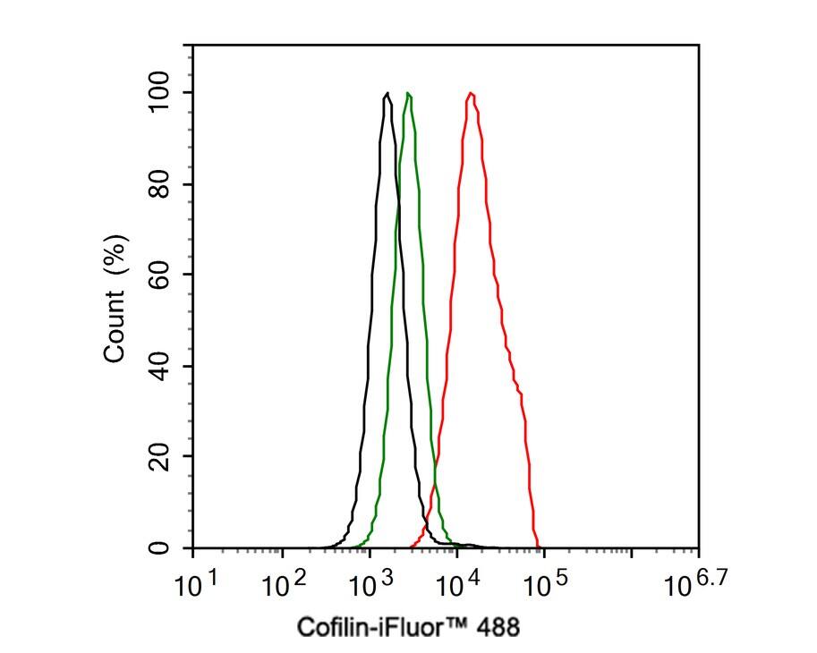 Cofilin Antibody (PSH0-34)