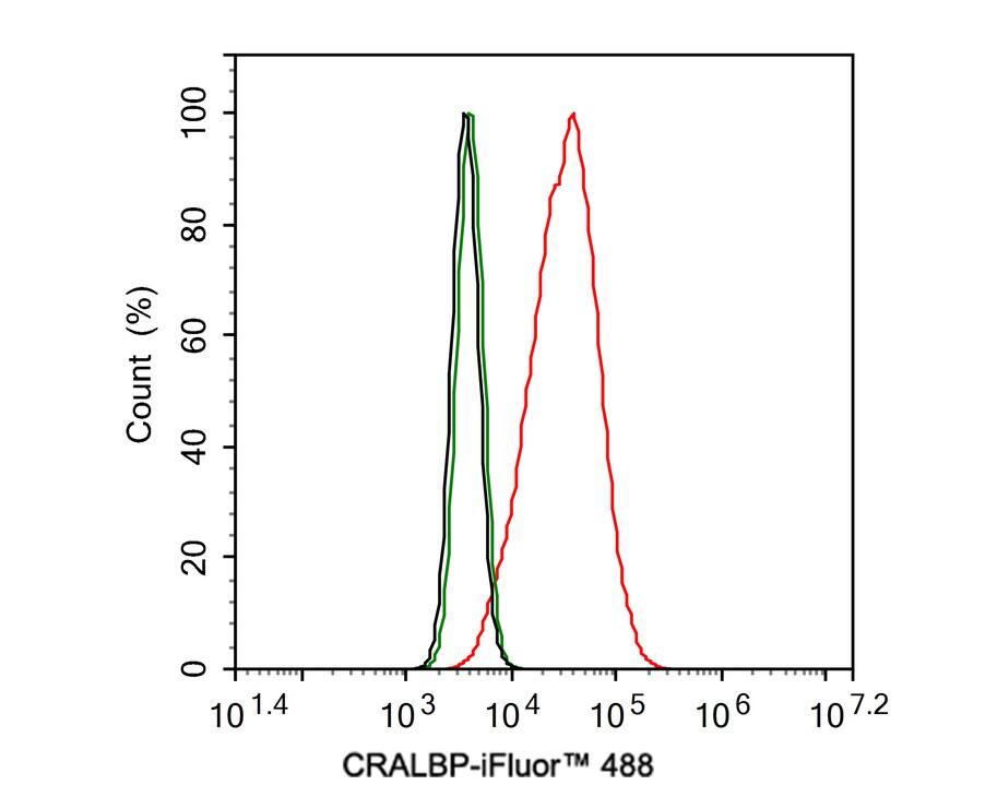 CRALBP Antibody (JE35-09)