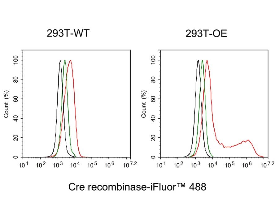 Cre Antibody (PSH01-93)