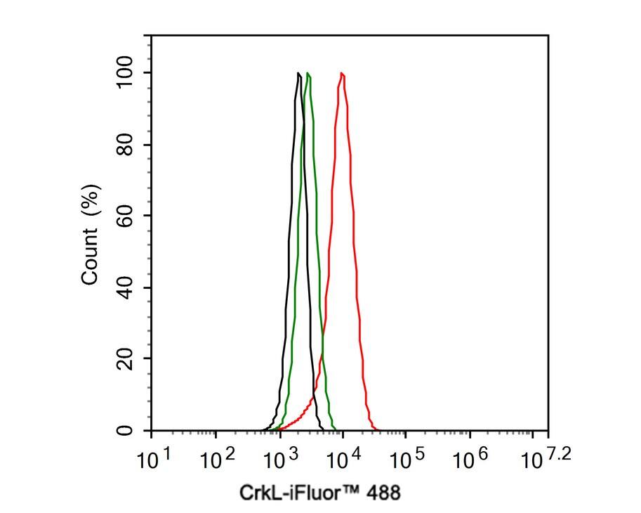 CrkL Antibody (JE50-21)