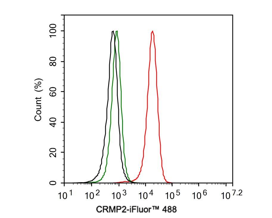 CRMP2 Antibody (JE31-53)