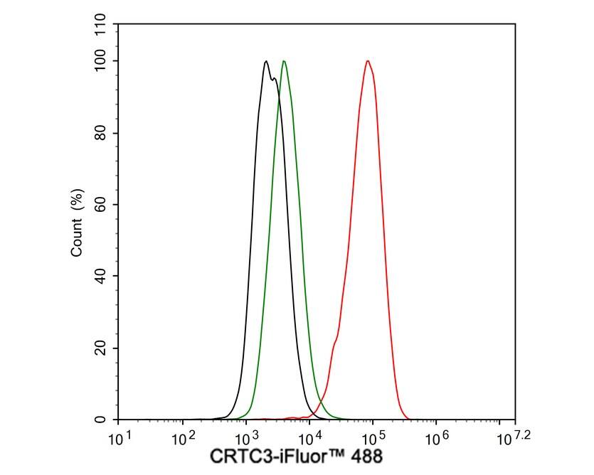 TORC3/CRTC3 Antibody (JE63-18)