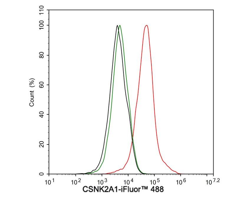 Casein Kinase 2 alpha Antibody (PSH04-54)