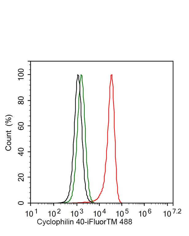 Cyclophilin 40 Antibody (PSH02-71)